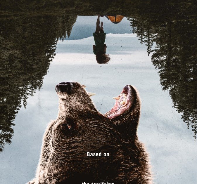 Grizzly Night (2026)