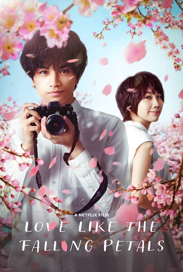 Love Like the Falling Petals (2022) Download